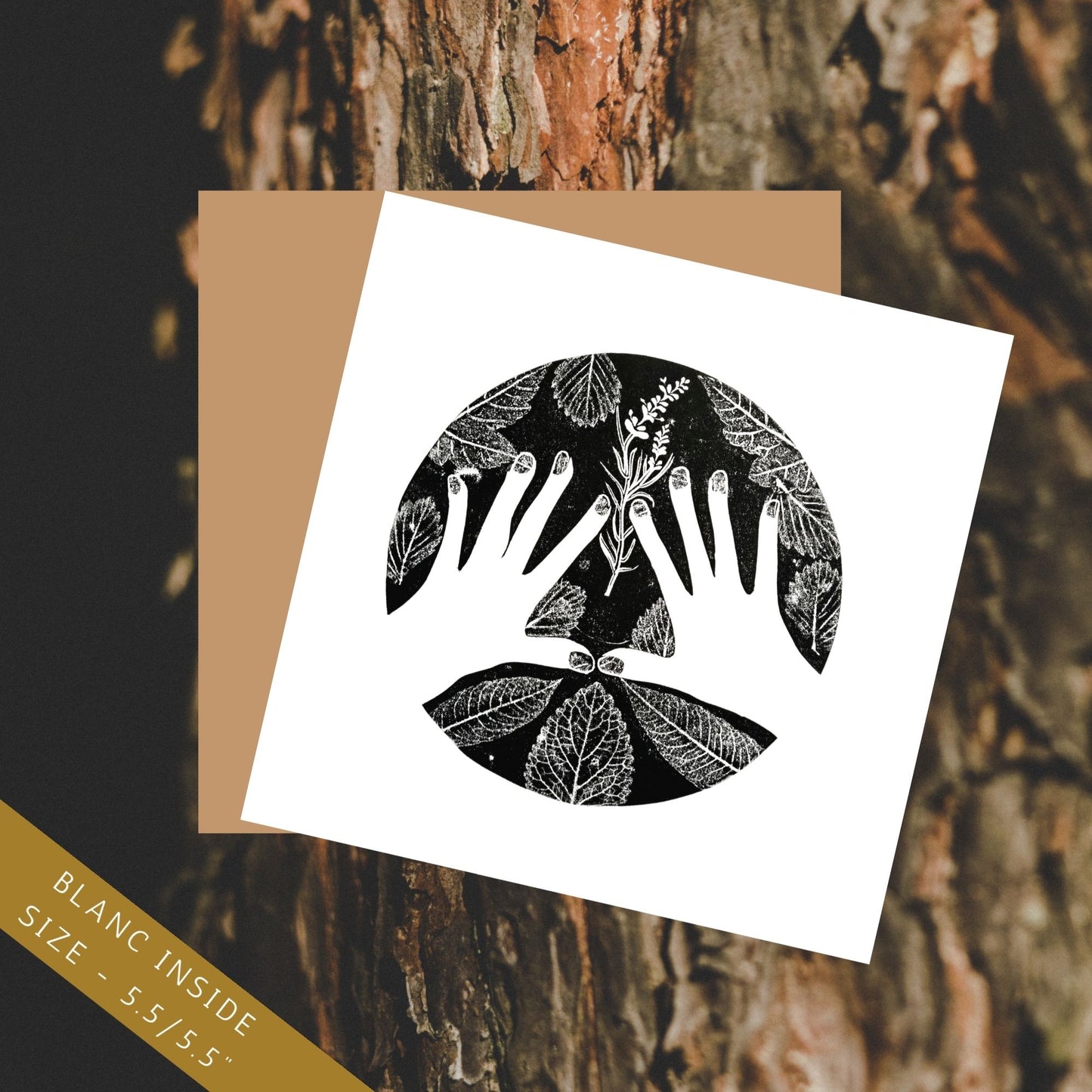 Earth Press Greeting Cards