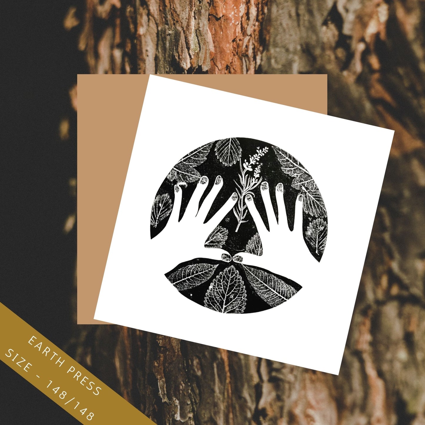 Greeting 4 Card Bundle